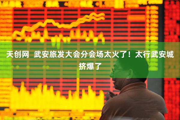 天创网  武安旅发大会分会场太火了！太行武安城挤爆了