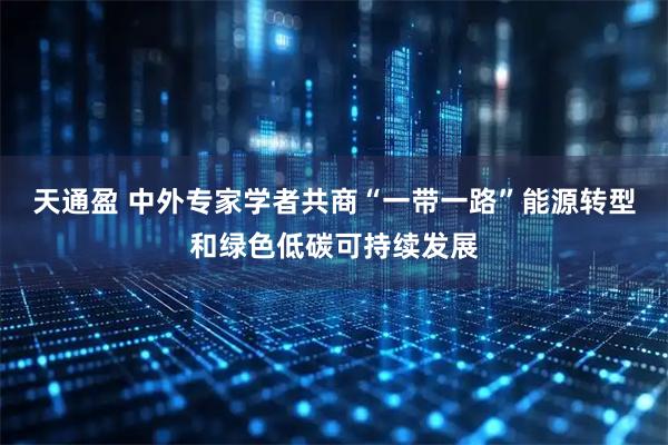 天通盈 中外专家学者共商“一带一路”能源转型和绿色低碳可持续发展