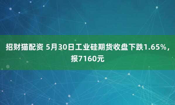 招财猫配资 5月30日工业硅期货收盘下跌1.65%，报7160元