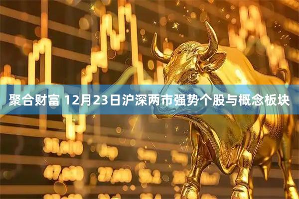 聚合财富 12月23日沪深两市强势个股与概念板块